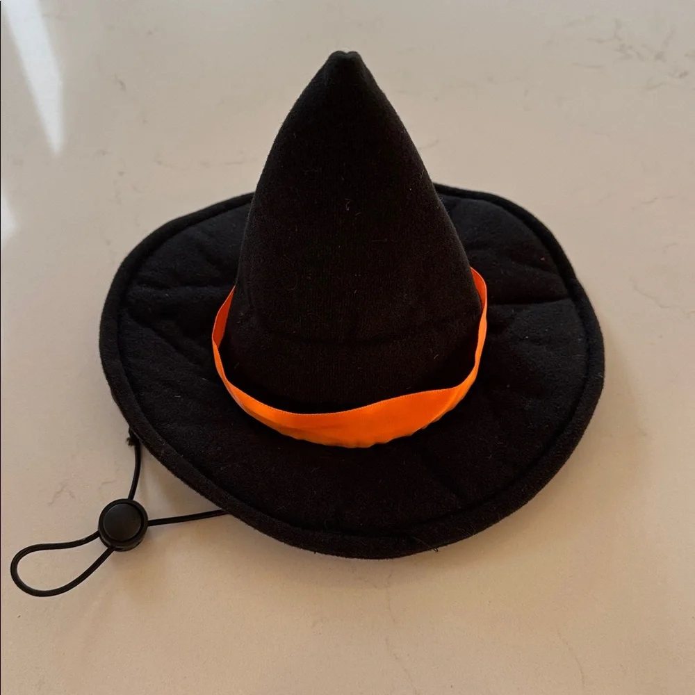HalloweenSkull & Bones Halloween Witch Costume for Dog - Black and Orange *NWOT